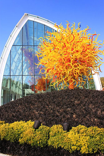 Photo: Chihuly glasshouse