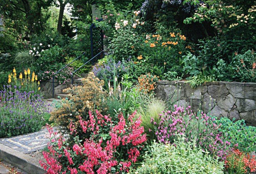 Photo: Lucy Hardiman front garden