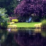 Beautiful pond setting at Garden #6