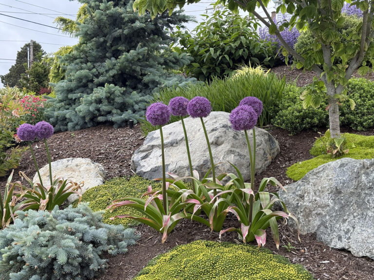 #3 Alan Eininger & Susan Brady