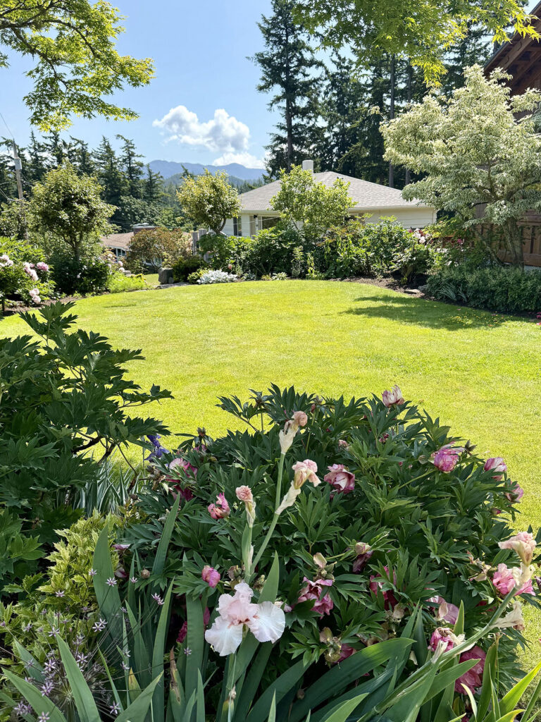 #4 Robin and Gordon Plume