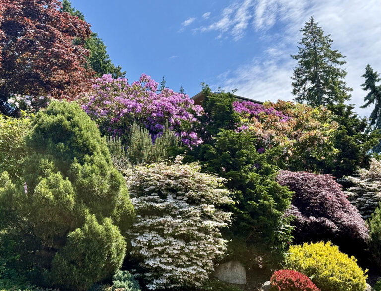 #2 Jane Talbot & Kevin Williamson