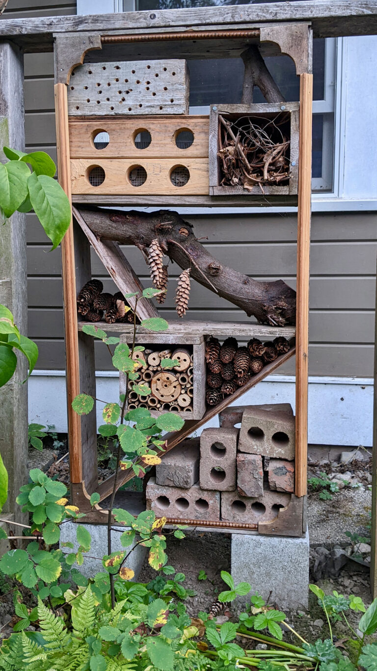 Making A Bug Hotel 